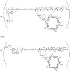 Figure BDA0002889616220001801