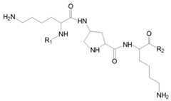 Figure imgf000008_0003