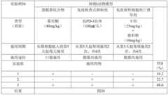 Figure BDA0004045679510000542