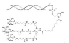 Figure imgf000008_0001