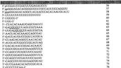 Figure GPA00001077157301051