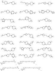 Figure BDA0003027048450002021