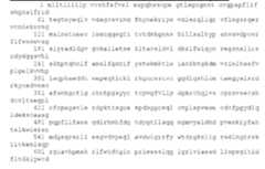 Figure imgf000043_0002