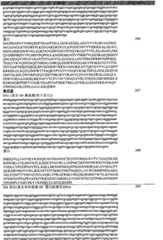 Figure GPA00001077157301241