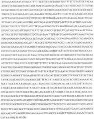 Figure GDA0002870045410000881