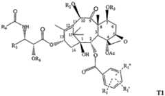 Figure imgf000073_0001