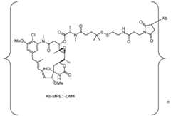 Figure imgf000065_0001