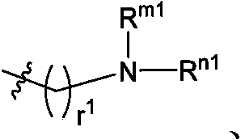 Figure PCTCN2022073822-appb-000406