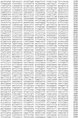 Figure IDA0002536600790001361