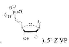 Figure imgf000061_0001