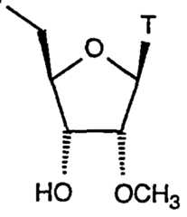 Figure imgf000068_0002