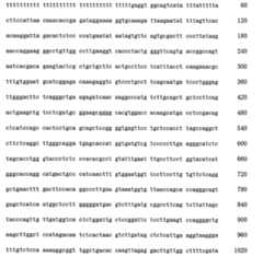 Figure 107123784-A0202-12-0226-61