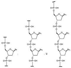 Figure 112016114379466-pct00043