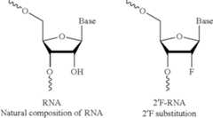 Figure US11965165-20240423-C00004