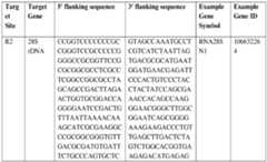 Figure imgf000188_0001
