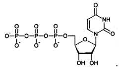 Figure imgf000089_0001