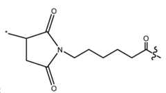 Figure imgf000006_0002