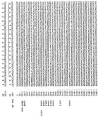 Figure 112001007761231-pct00075