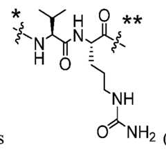 Figure imgf000090_0006