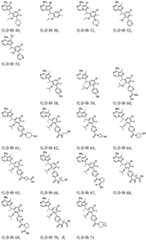 Figure FDA0003481820600000061