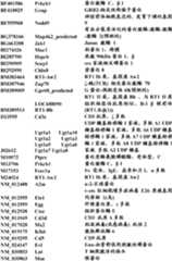 Figure BDA0000057170160000731