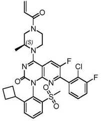 Figure BDA0002861043520000891