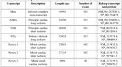 Figure imgf000016_0001