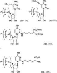Figure imgf000050_0001