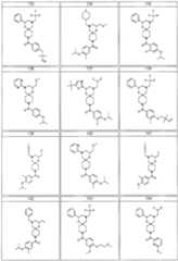 Figure imgf000045_0001