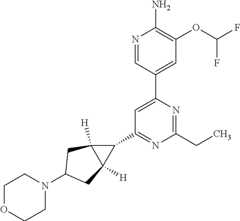 Figure US11129832-20210928-C00503
