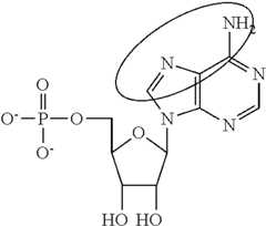 Figure US10501513-20191210-C00090