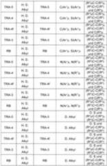 Figure imgf000107_0001