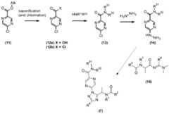 Figure imgf000076_0001