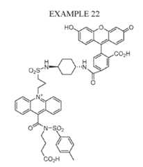 Figure imgf000077_0001