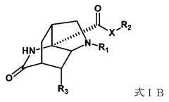 Figure JPOXMLDOC01-appb-C000008