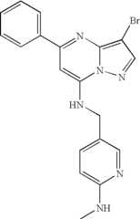 Figure US07119200-20061010-C01275