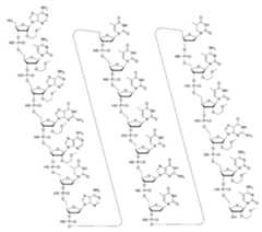 Figure 107139428-A0305-02-0022-355