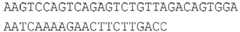 Figure imgb0286