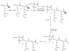 Figure imgf000079_0001