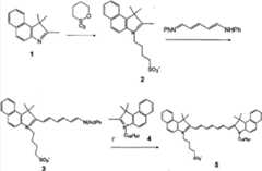 Figure BDA0000487553530000241