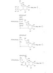 Figure 112009026250918-PCT00051