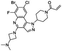 Figure BDA0003993773060001961