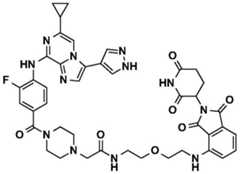 Figure BDA0002964098100001321