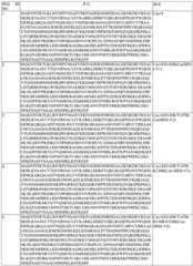 Figure BDA0004183790070000601