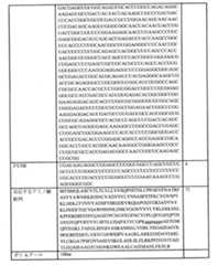 Figure 0007438604000098