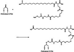 Figure imgf000031_0001