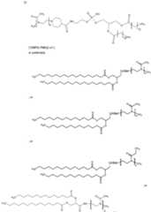 Figure imgf000175_0001