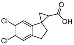 Figure BDA0001421068100000572