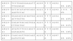 Figure 2023517041000039