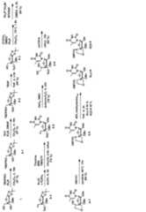 Figure JPOXMLDOC01-appb-C000033